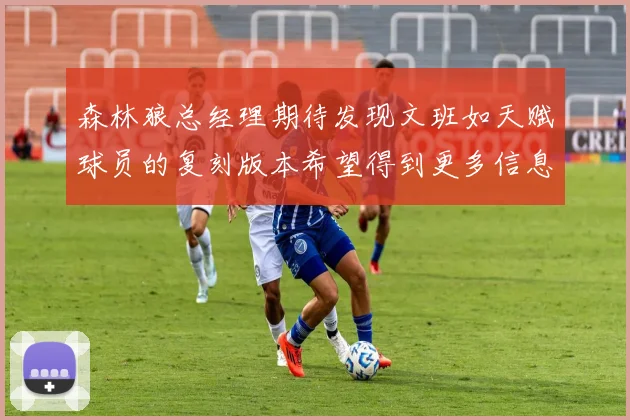 森林狼总经理期待发现文班如天赋球员的复刻版本希望得到更多信息