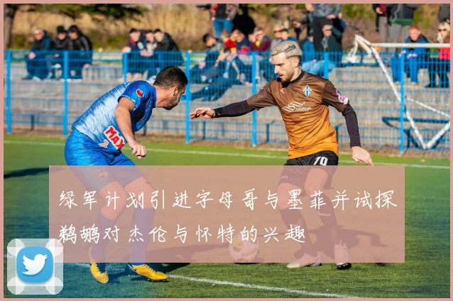 绿军计划引进字母哥与墨菲并试探鹈鹕对杰伦与怀特的兴趣