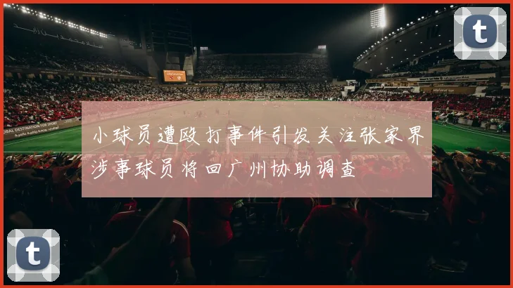 小球员遭殴打事件引发关注张家界涉事球员将回广州协助调查