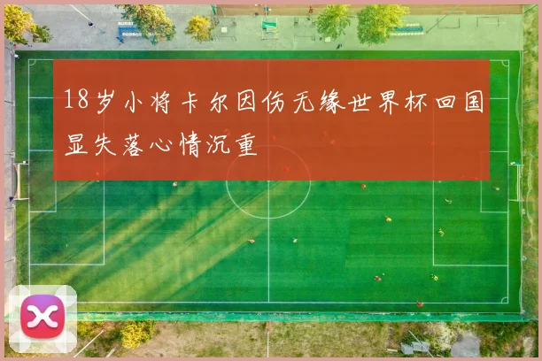 18岁小将卡尔因伤无缘世界杯回国显失落心情沉重