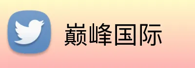 巅峰国际 logo